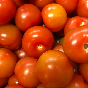 Salad Tomatoes (x5)