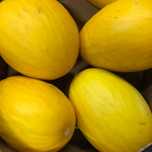 Large Honeydew Melon