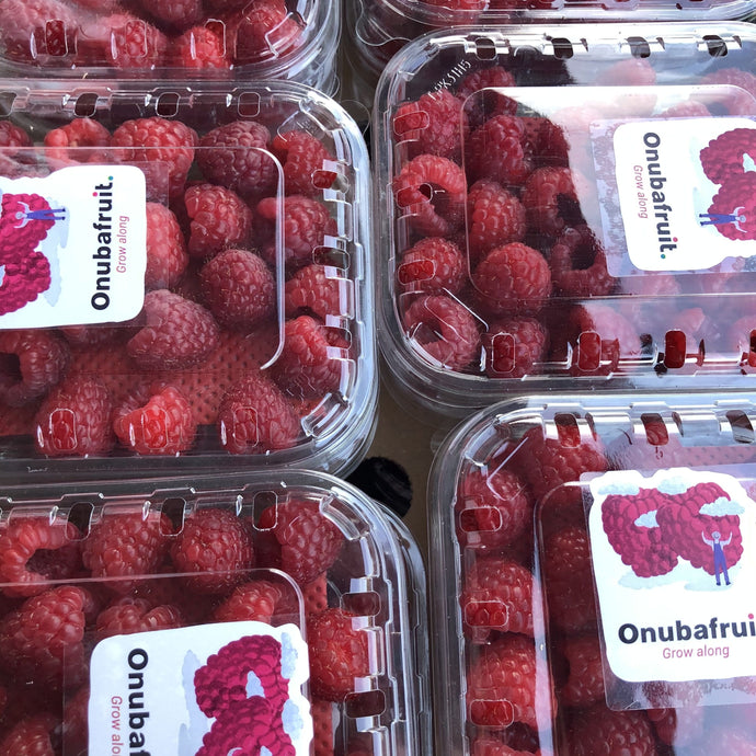Raspberries (125g punnet)