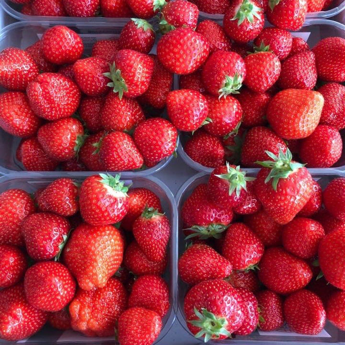 Finest Dutch Strawberries (500g punnet)