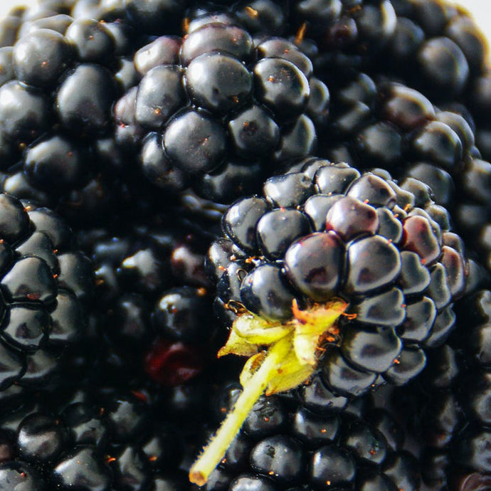 Blackberries (125g punnet)
